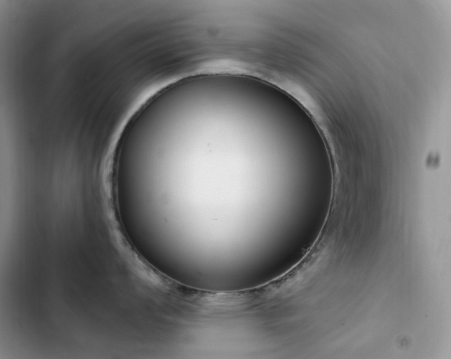 X0000102871008200808181501