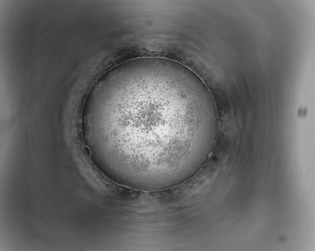 X0000102871009200808181501