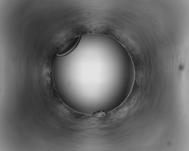 X0000102871010200808181501