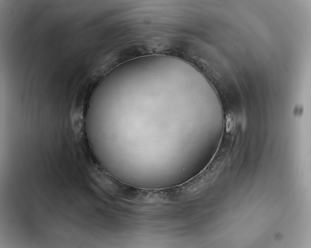 X0000102871011200808181501
