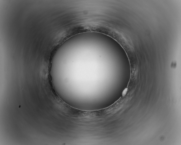 X0000102871012200808181501