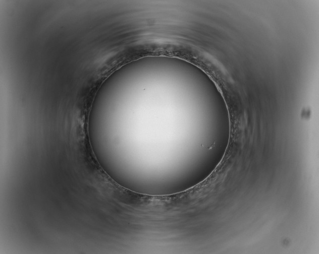X0000102871013200808181501