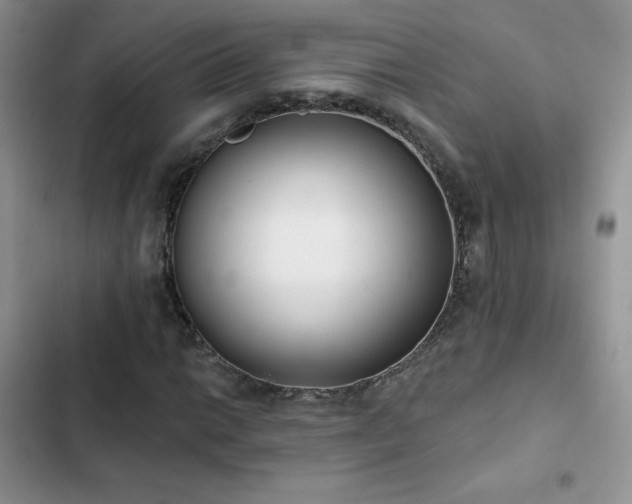 X0000102871014200808181501