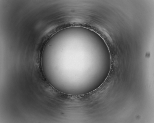 X0000102871015200808181501