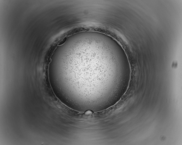 X0000102871016200808181501