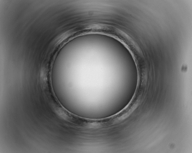 X0000102871017200808181501