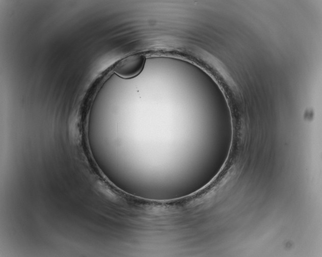 X0000102871018200808181501