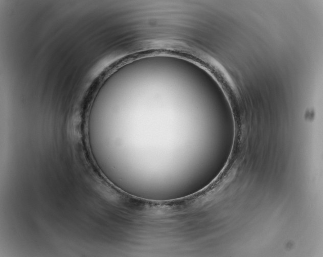 X0000102871019200808181501