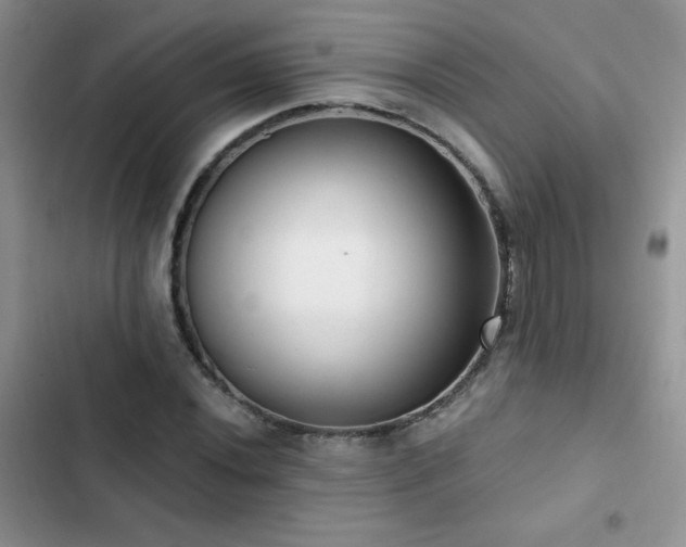 X0000102871020200808181501