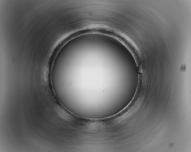 X0000102871021200808181501