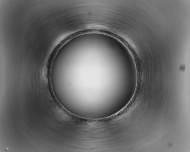 X0000102871022200808181501
