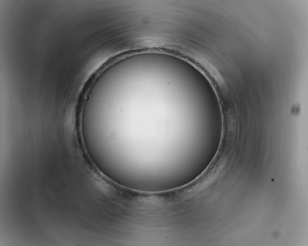 X0000102871023200808181501