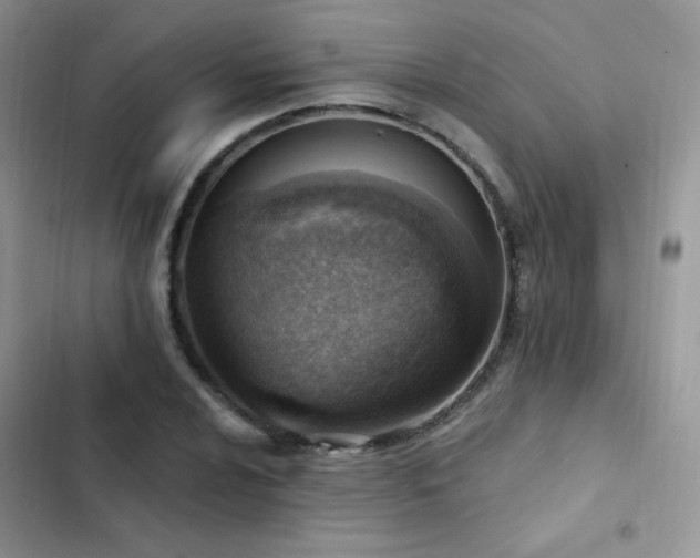 X0000102871024200808181501