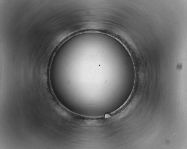 X0000102871025200808181501