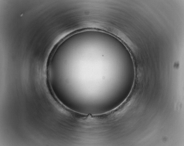 X0000102871028200808181501