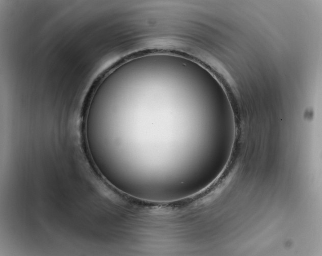X0000102871029200808181501