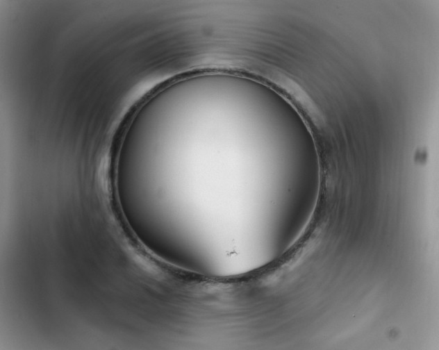X0000102871030200808181501