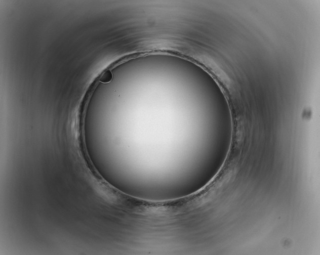 X0000102871031200808181501