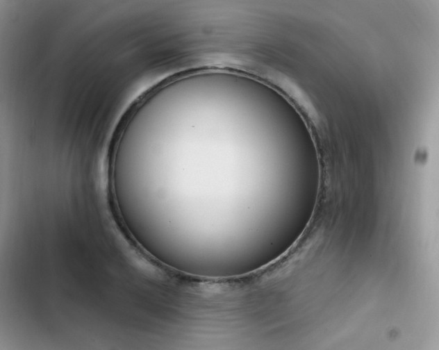 X0000102871032200808181501