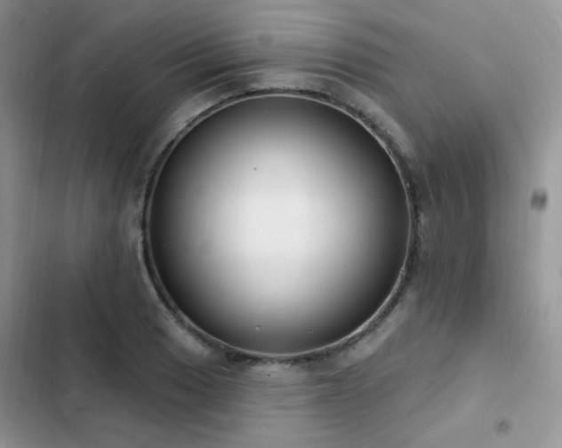 X0000102871033200808181501