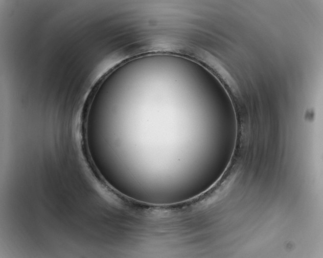 X0000102871034200808181501