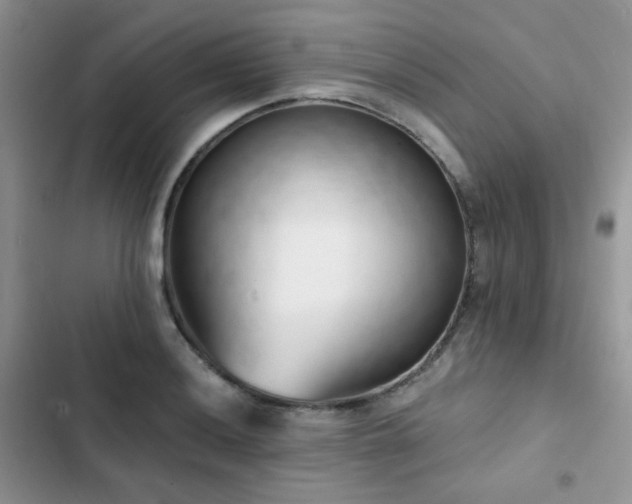 X0000102871036200808181501