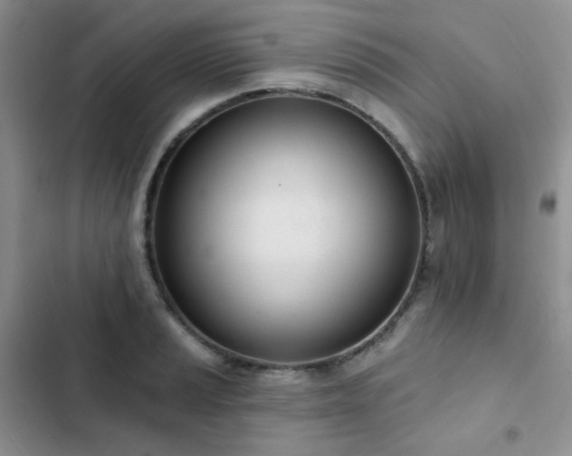 X0000102871037200808181501