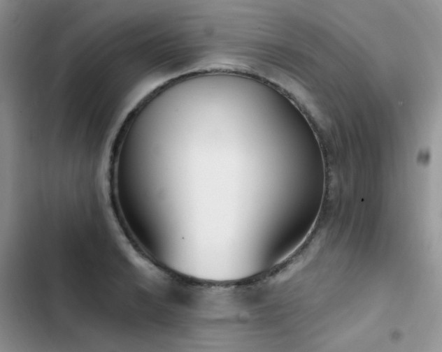 X0000102871038200808181501