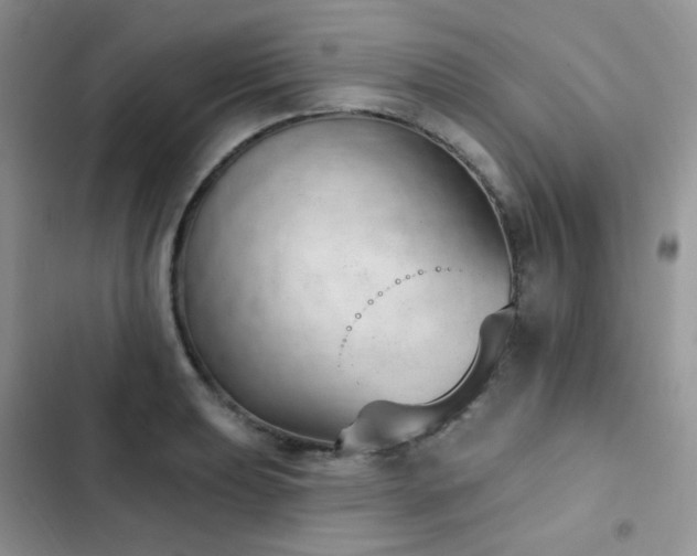 X0000102871039200808181501
