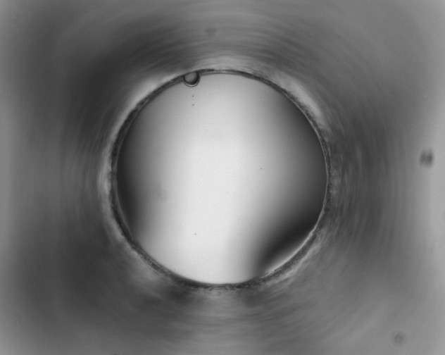 X0000102871040200808181501