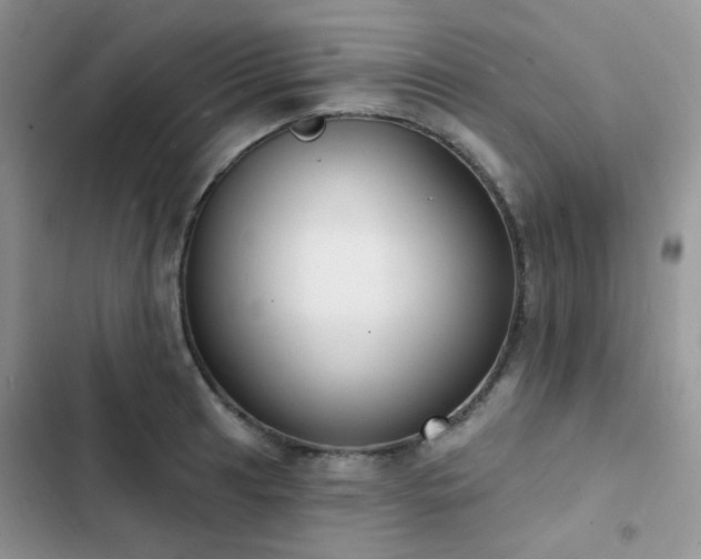 X0000102871041200808181501