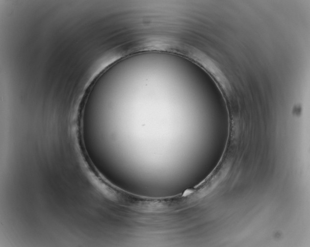 X0000102871042200808181501