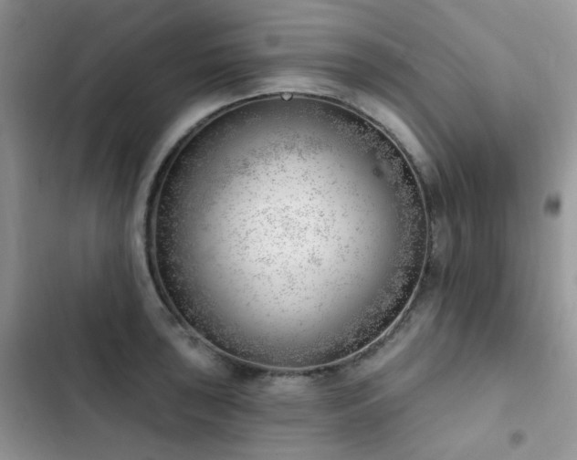 X0000102871043200808181501