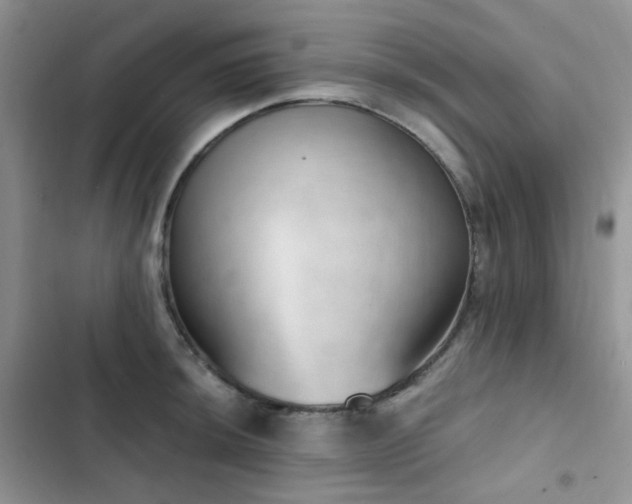 X0000102871044200808181501