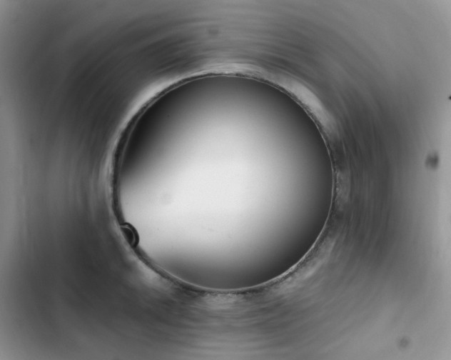X0000102871046200808181501