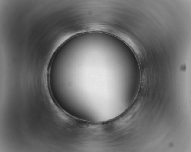 X0000102871047200808181501