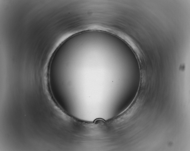 X0000102871048200808181501