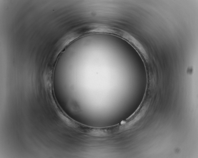 X0000102871049200808181501
