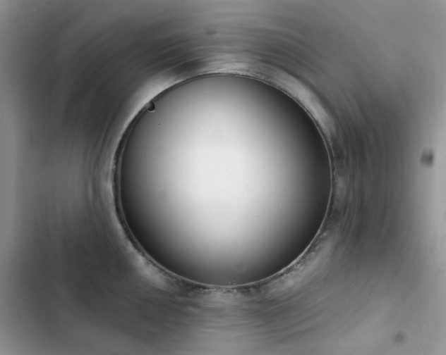 X0000102871050200808181501