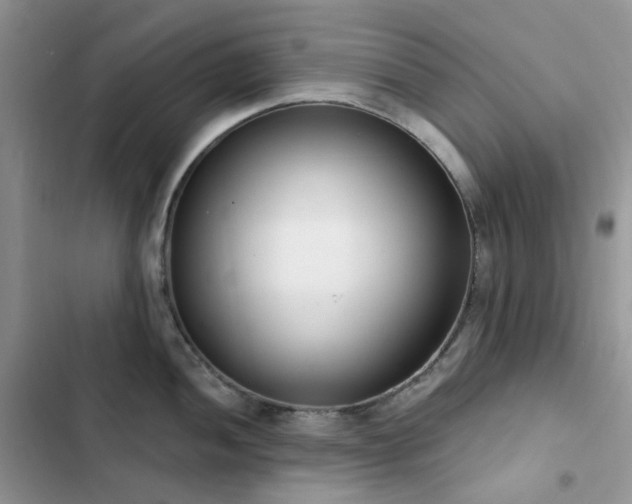 X0000102871052200808181501