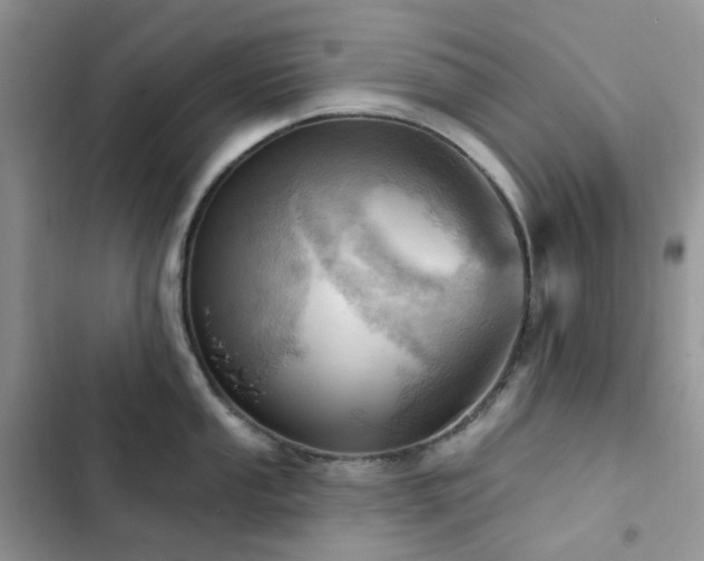 X0000102871053200808181501
