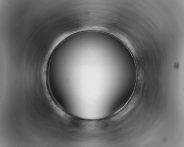 X0000102871054200808181501