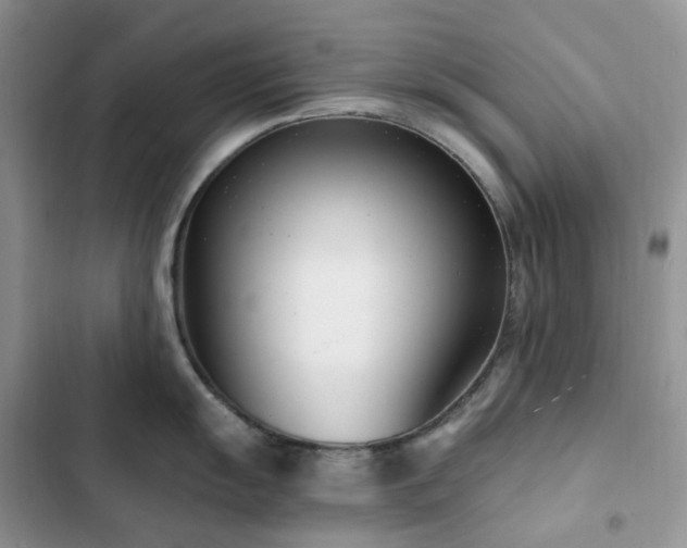 X0000102871055200808181501