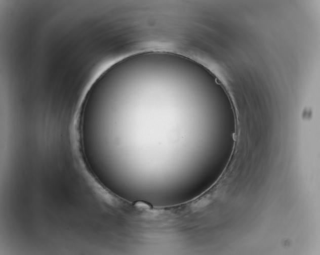 X0000102871056200808181501