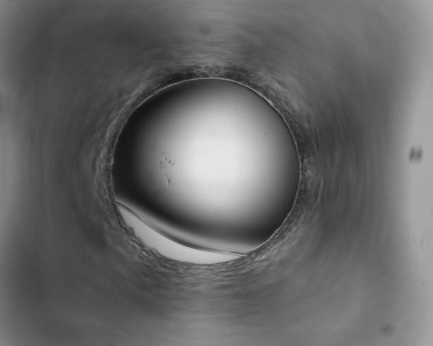 X0000102871057200808181501