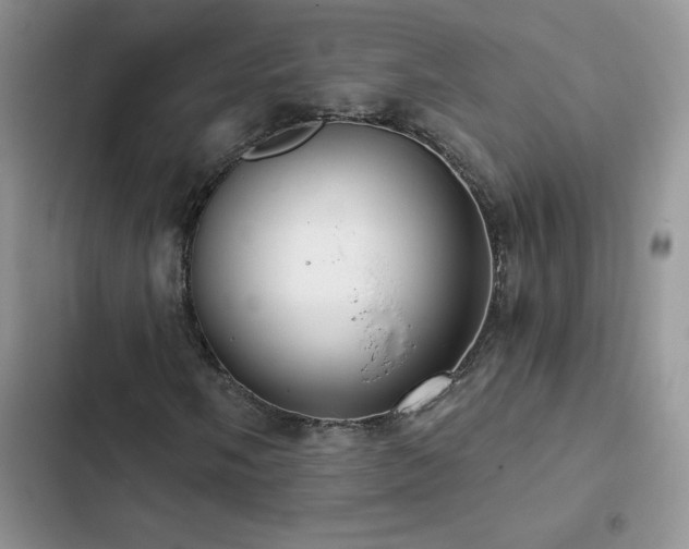 X0000102871058200808181501
