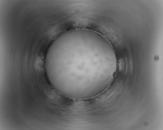 X0000102871059200808181501