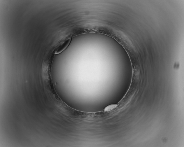 X0000102871060200808181501