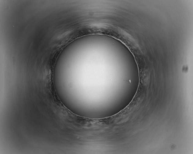 X0000102871061200808181501