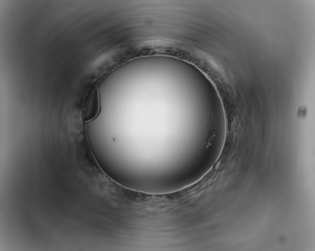 X0000102871062200808181501